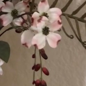 Thanks For Stopping By * Remember Bundle & Save!!!